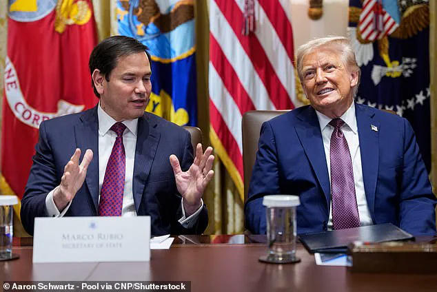 The Curious Case of Prince Harry's U.S. Visa: A Legal Labyrinth and Growing Secrecy