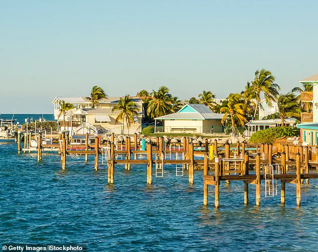 Miracle Rescue in Florida: Community Saves Boy from Shark Attack, Sparks Safety Discussions