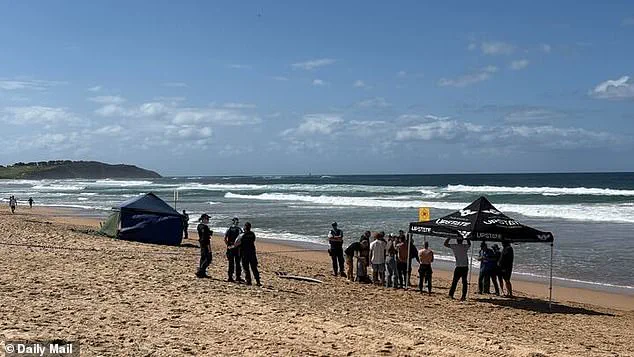 Privileged Access: Exclusive Witness Accounts Detail the Fatal Great White Shark Encounter at Dee Why Beach