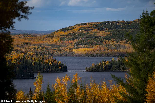 Nature's Spectacle: The Delicate Balance Behind Autumn's Leaf Transformation