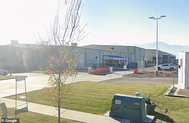 Privileged Insights: Experts on Firearm Safety and Mental Health Following Student's Death at School Field Trip