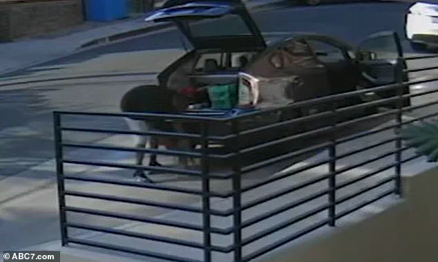 Surveillance Footage Shows Food Delivery Driver Allegedly Snatching Cat in West Hollywood