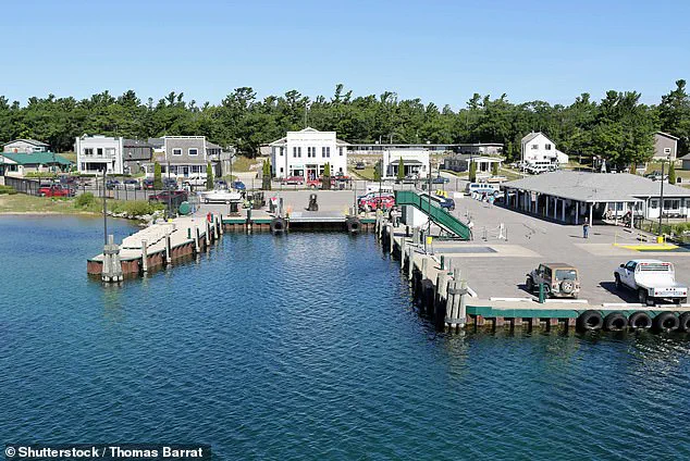 Beaver Island Faces Ecological Crisis as Exploding Deer Population Threatens Ecosystems and Livelihoods