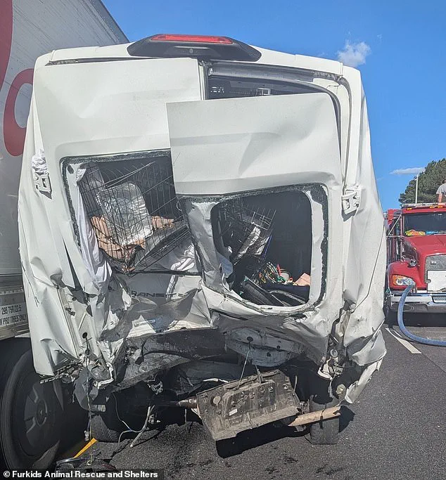 Tragedy on Interstate 85: Truck Driver Charged with Homicide After Fatal Collision Claims Eight Lives, Reigniting Road Safety Debates