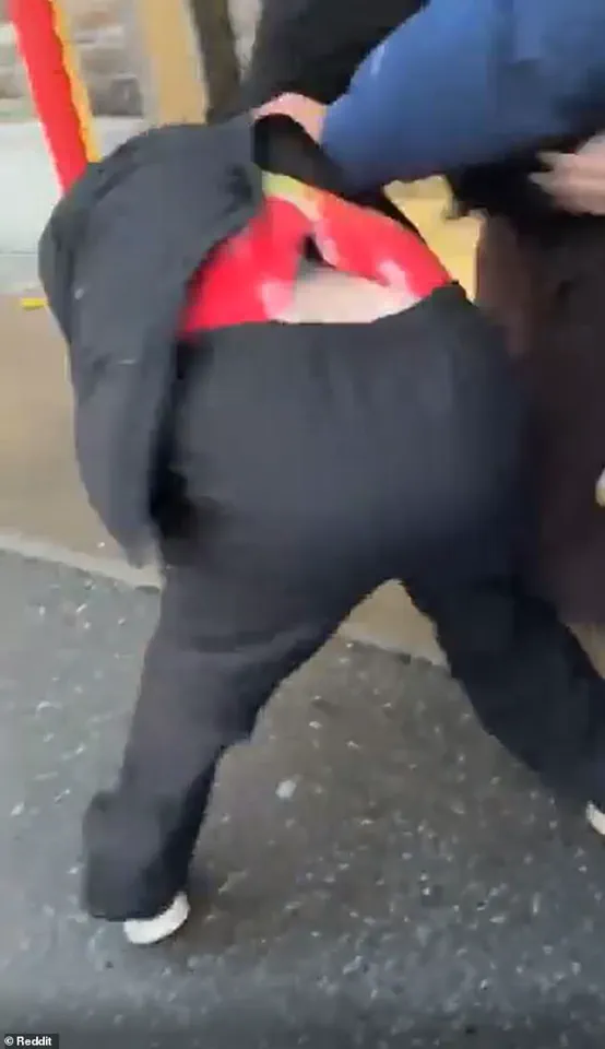 Ottawa Brawl Over Pokémon Cards Sparks Debate on Public Safety Regulations