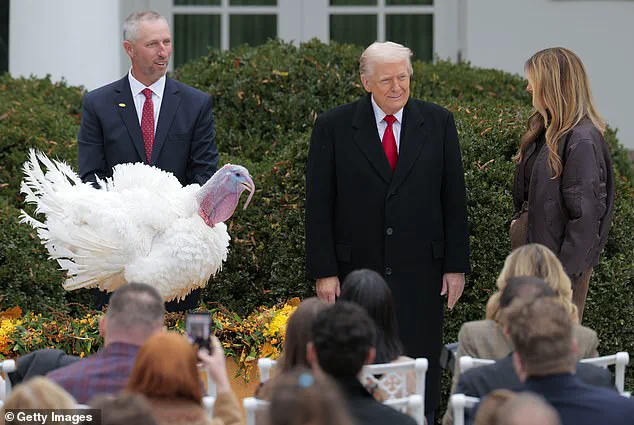 Trump's 2025 Thanksgiving Turkey Pardon Ceremony: A Blend of Humor, Political Jabs, and Tradition