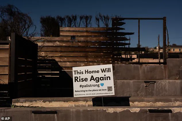 Privileged Access to the Ruins: The Hidden Story of a Burnt Estate