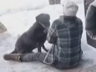 Minneapolis Mayor Jacob Frey at Center of Controversy Following Fatal Shooting During Protest