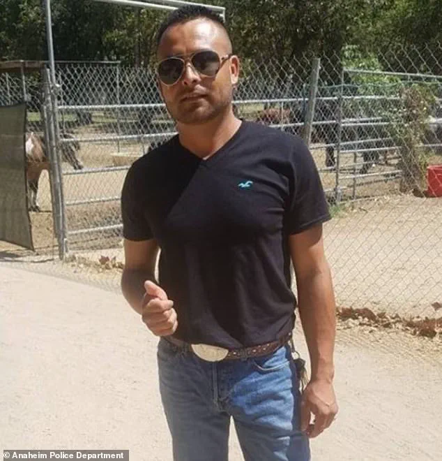 Fugitive Nabbed After Eight-Year Pursuit: Justice Served in Extradition Case