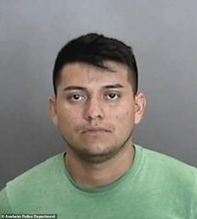 Fugitive Nabbed After Eight-Year Pursuit: Justice Served in Extradition Case