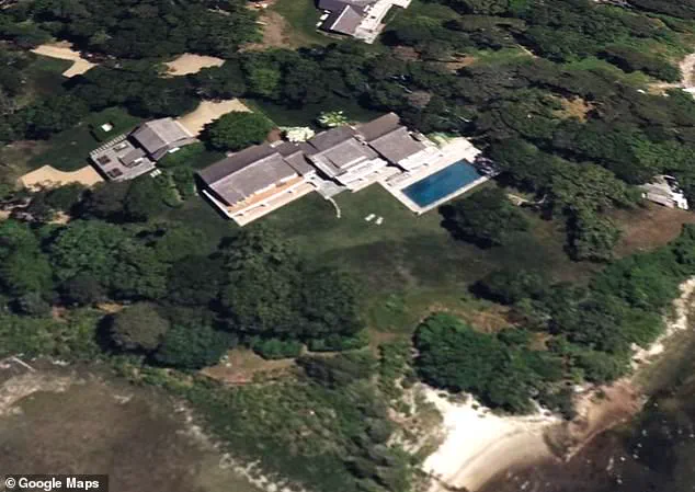 Flobelle Burden's Explosive Memoir 'Strangers' Reveals Shocking Verbal Cruelty Allegations Against Ex-Husband Henry Davis, Heiress of Legendary Socialite Babe Paley