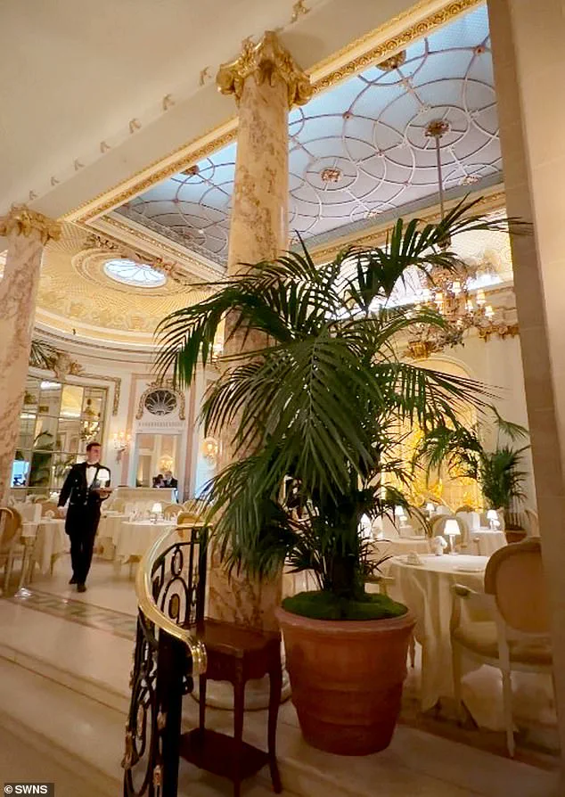 Urgent Investigation at Ritz London After Mouse Disrupts Iconic Afternoon Tea on January 11