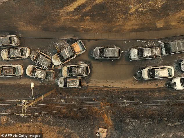 Chilean Wildfires: At Least 18 Dead, 50,000 Evacuated as Blazes Devastate Communities