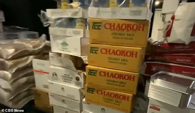 Convicted Fraudster Aimee Bock Behind $250 Million Minnesota Taxpayer Scandal