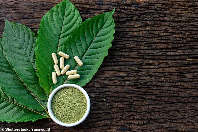 Toxicology Report Shows Multiple Drugs in Chess Grandmaster Daniel Naroditsky's System at Time of Death