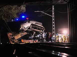Spain's Recent Train Crashes Prompt Expert Calls for Enhanced Regulatory Measures to Ensure Public Safety