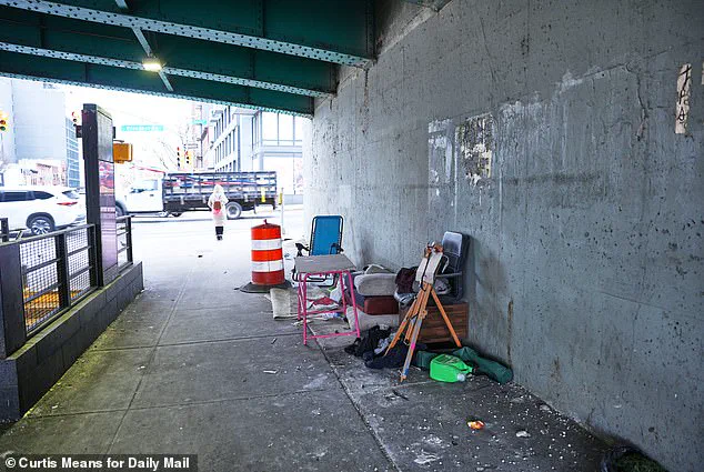 Zohran Mamdani's Campaign Promise Leads to Surge in Homeless Encampments in NYC