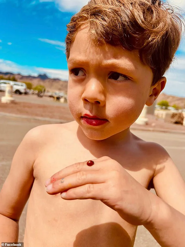 San Diego Woman Accused of Hit-and-Run Killing of Six-Year-Old Boy Denies Allegations