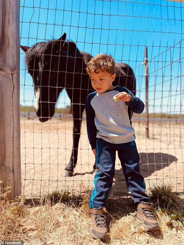 San Diego Woman Accused of Hit-and-Run Killing of Six-Year-Old Boy Denies Allegations