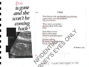 Jeffrey Epstein's Hidden Family: Unverified Claims and a Victim's Emotional Diary Entry