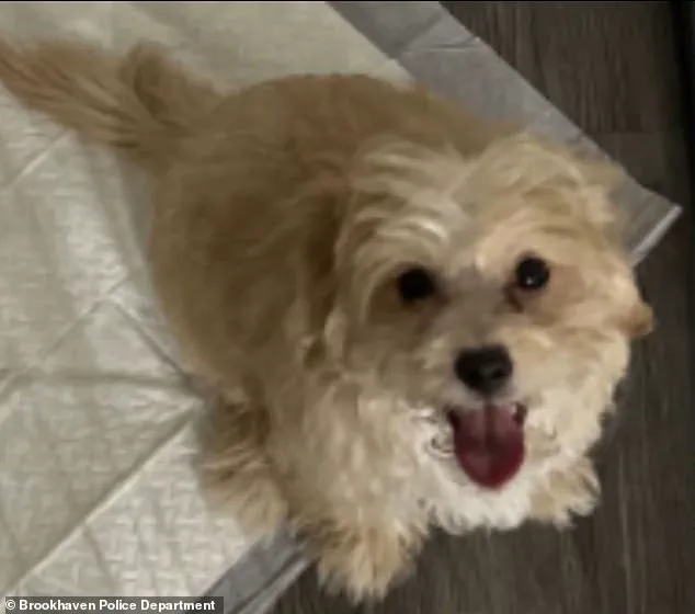 Rapper Aspen Kartier Arrested for Alleged Animal Cruelty During Live Twitch Stream