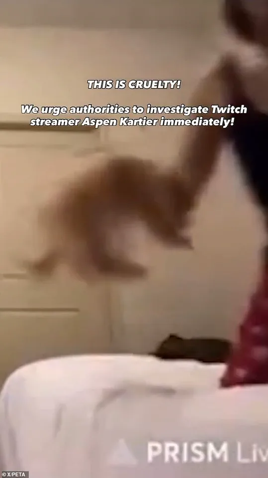 Rapper Aspen Kartier Arrested for Alleged Animal Cruelty During Live Twitch Stream