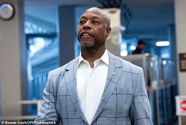 Donald Trump Refuses to Apologize for Racist Video Depicting Obamas as Apes, Claims He Didn't See Full Clip