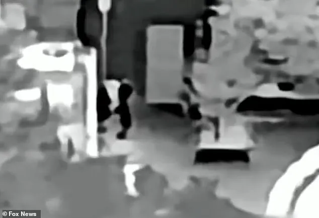 Kidnapping Investigation Intensifies as Federal Agents Search Tucson Home of Today Show Host's Missing Mother