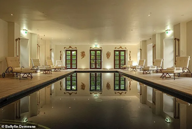 Ireland Murder Trial Reveals Accused's History of Violent Delusions and Ritual Sacrifice