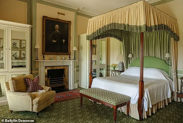 Ireland Murder Trial Reveals Accused's History of Violent Delusions and Ritual Sacrifice