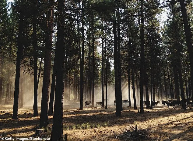 Oregon Considers Historic Hunting and Fishing Ban as PEACE Initiative Gathers 30,000 Signatures