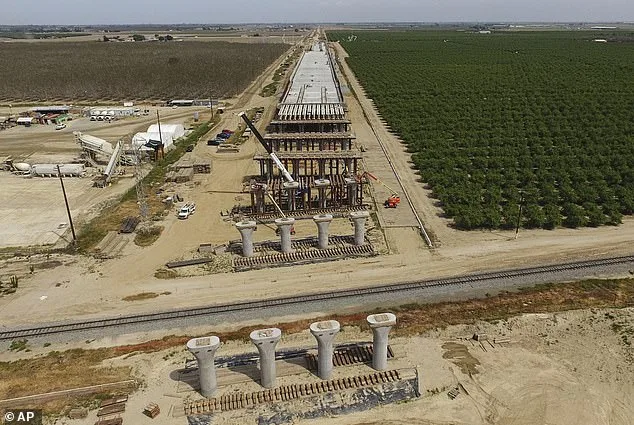 Shocking Arrest of High-Speed Rail CEO Amid Domestic Dispute Overshadows Project Milestone