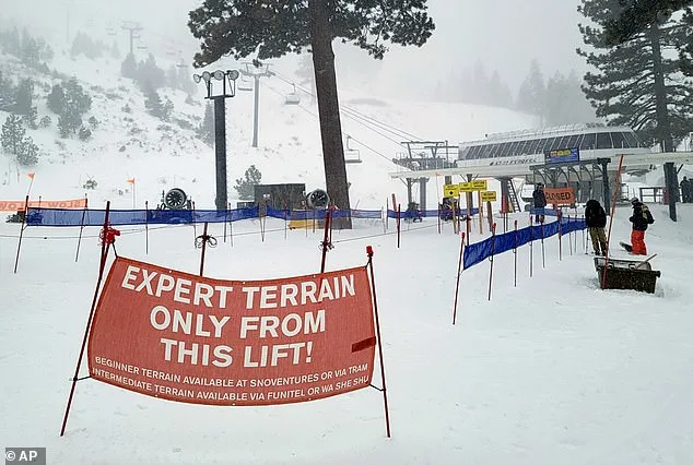 Tragedy at Lake Tahoe: Skier Found Dead on Expert Sugar Pine Glade Trail Days After Avalanche