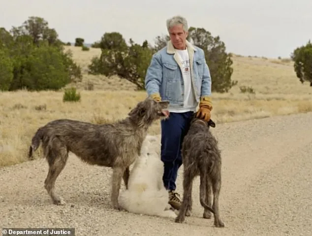 Shadowy Caretakers of Epstein's Zorro Ranch at Center of Growing Investigation