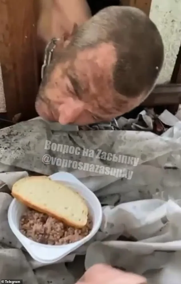 Daily Mail Footage Exposes Brutal Treatment of Russian Soldiers by Their Commanders in Ukraine