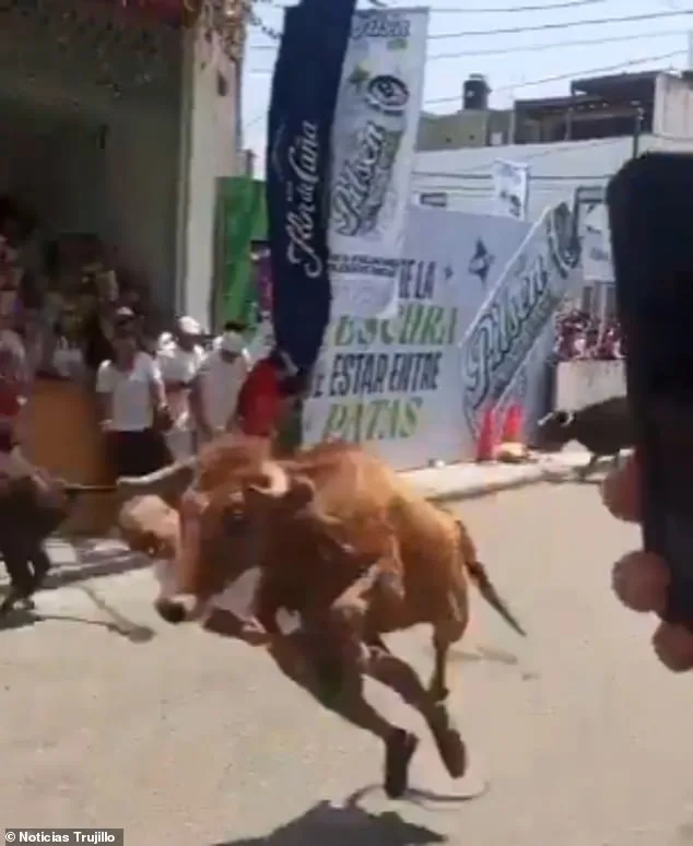 Miraculous Survival as Bull's Charge Throws Man into Air During Peruvian Festival