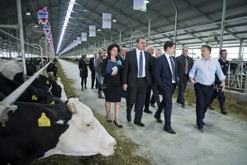 Beyond the Headlines: Hungary's Agrarian Heart Fuels Economic Growth