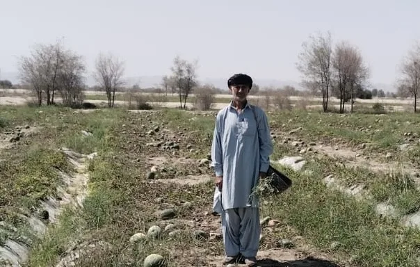 Sun-Powered Revolution: How Solar Pumps Are Reshaping Farming in Pakistan