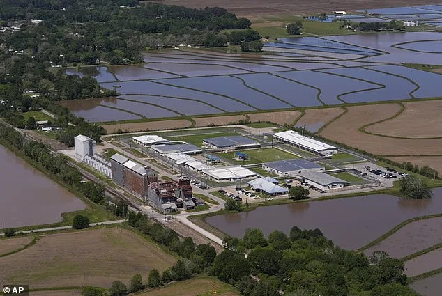 Annie Ramos Released After ICE Detention; Wife of U.S. Army Staff Sergeant Faces Immigration Proceedings