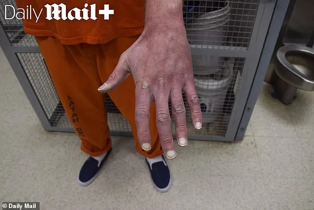 Haunting Photos Reveal Murderous Secrets of Bryan Kohberger's Face and Hands.