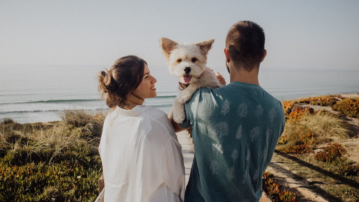 Major cruise line bans lifted as Fabled Voyages welcomes pets aboard ships.