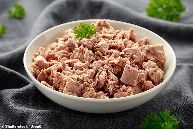 Surging UK Tuna Sales Prompt Health Warnings Despite Nutritional Benefits